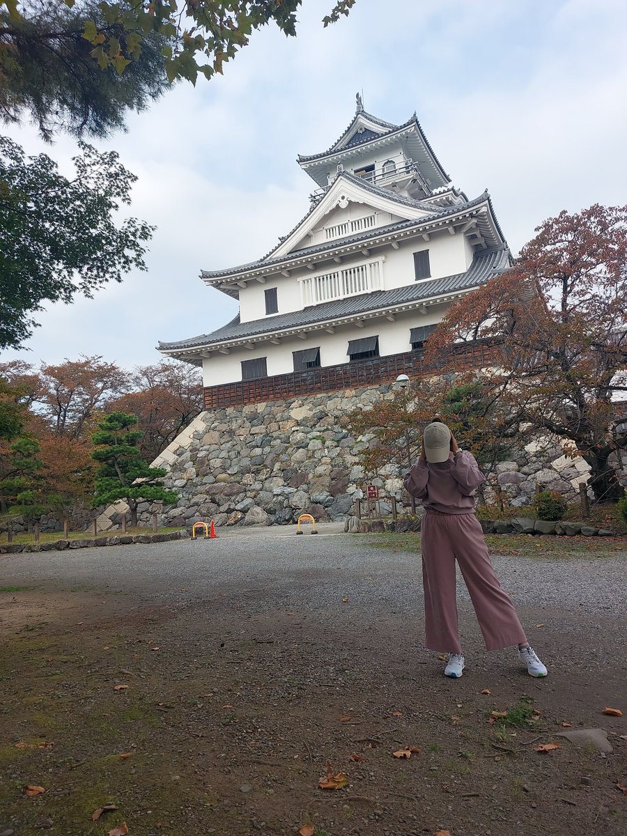 タマ tweet media