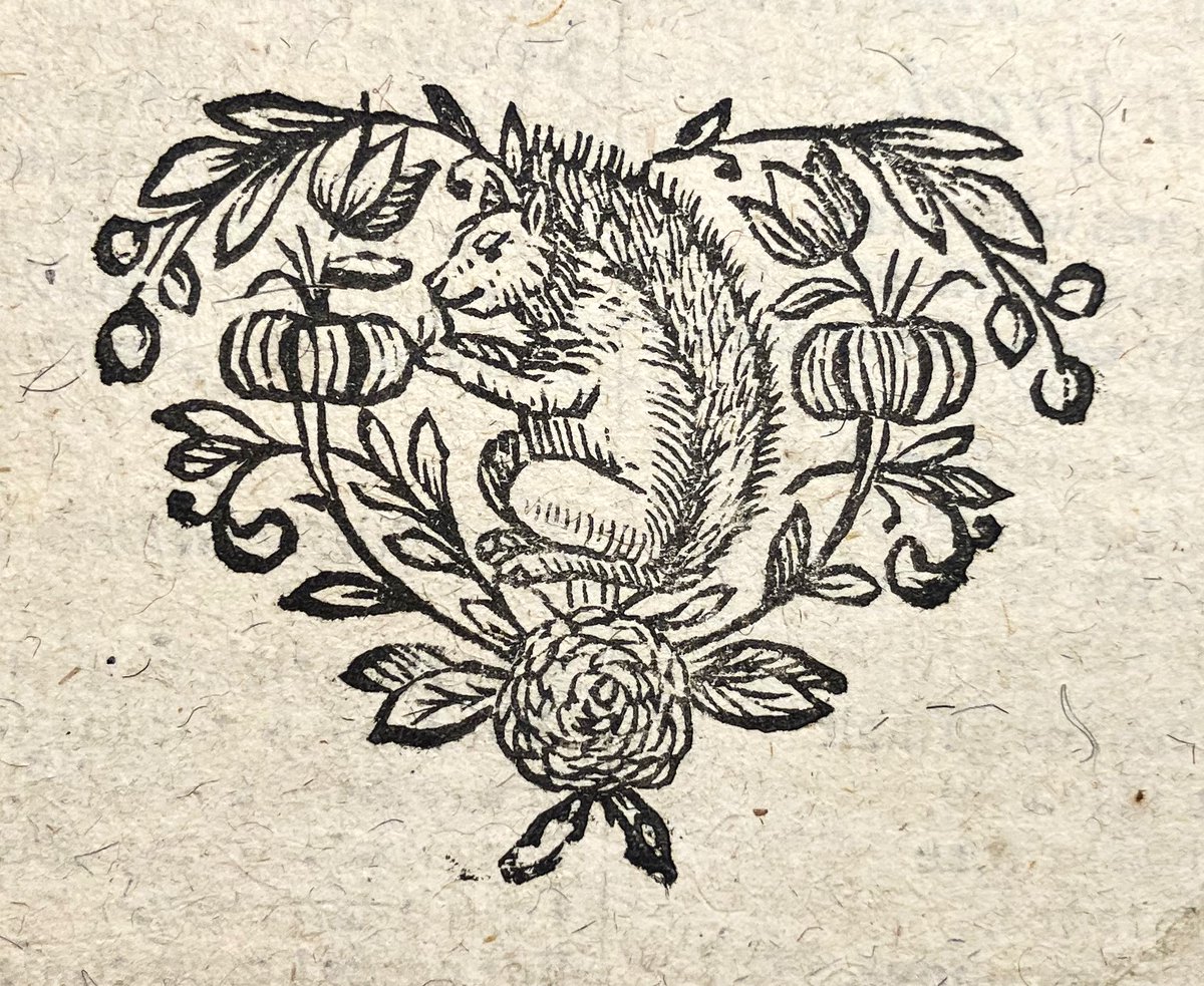It's a bit wet out so here's a cheery autumnal squirrel from a 1664 Psalter.