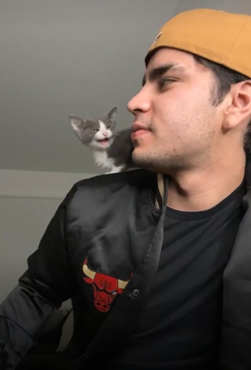 luckygirly0's tweet photo. Ya le hacia falta energía femenina a mi bb qué bella gatita 😍😍
HBD AARON MERCURY https://t.co/uX2haUmFH6