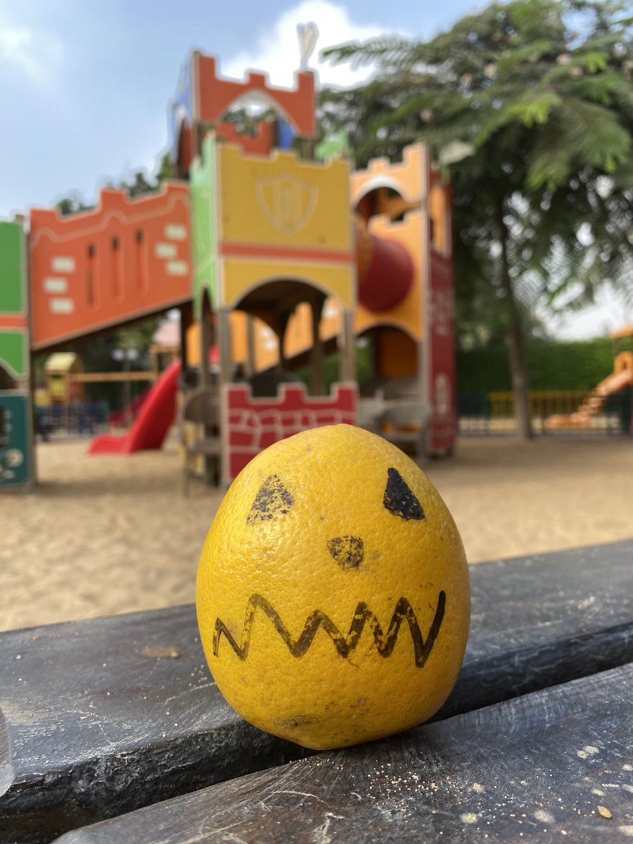 Anne Allmeling tweet media