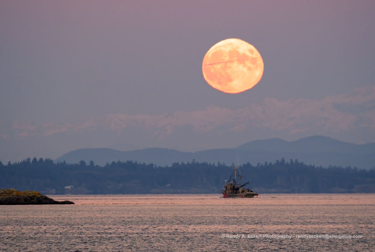 randyaeckert's tweet photo. Full Moon over Cattle Point in Victoria, BC.

#fullmoon #landscapephotography #cattlepoint https://t.co/Tth5L4pW5U
