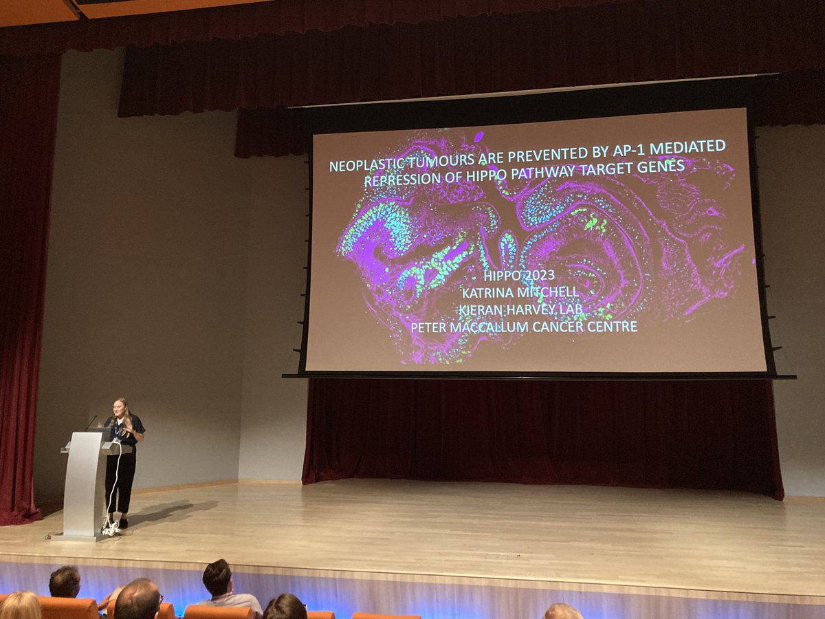 Beautiful talk by <a href="/KatMitchell_Sci/">Kat</a> on the co-regulation of transcription by TNF and Hippo pathways in neoplasia at the Hippo Signalling Conference 2023 👏