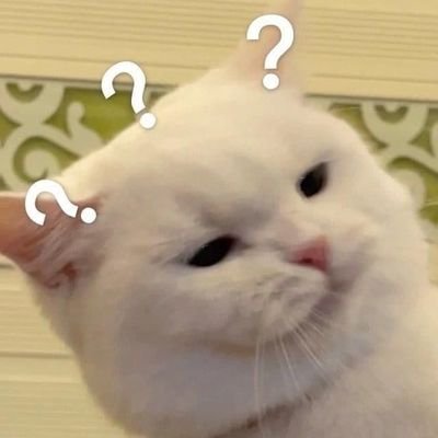 jeninclogs tweet media