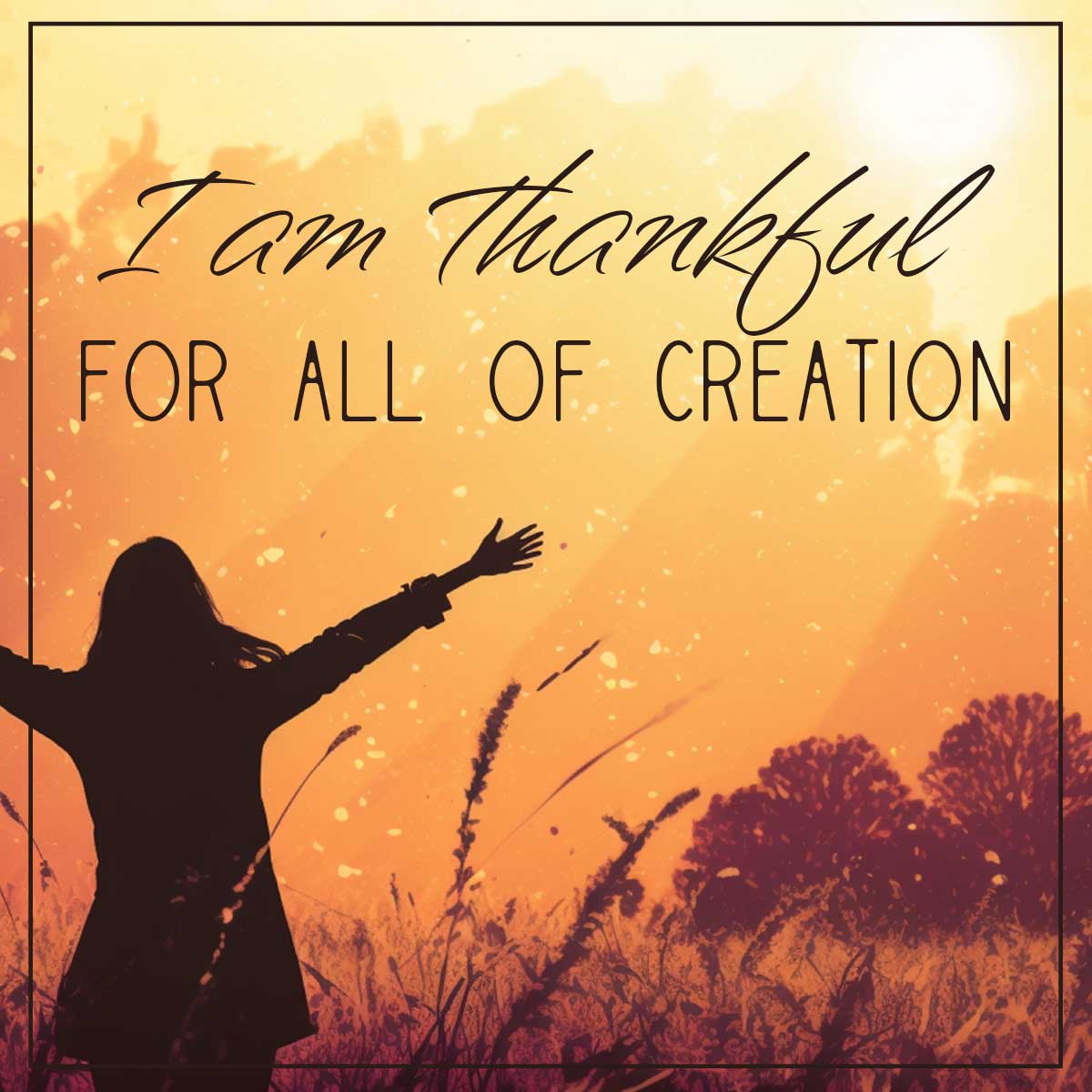 I'm thankful for Jesus #amThankful devotionfortoday.com/jesus-created-…