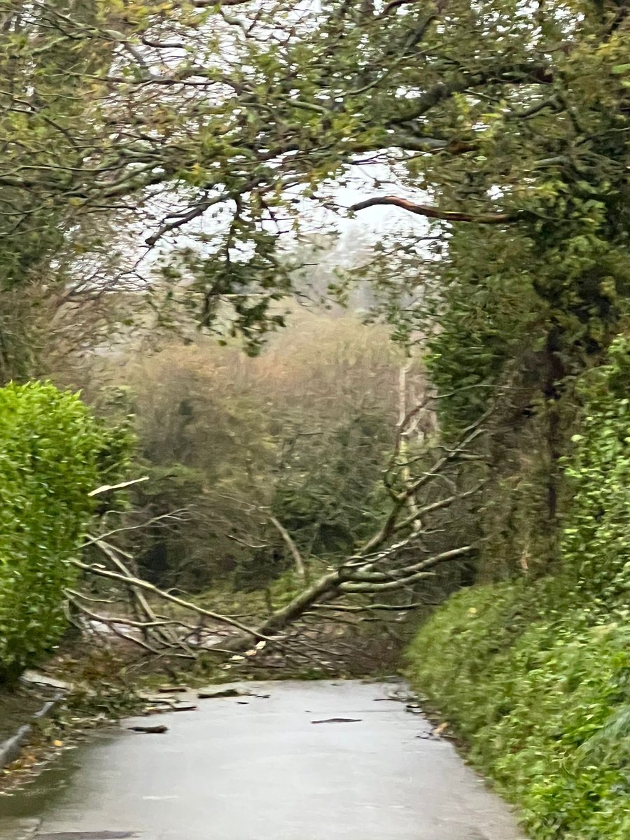 Le Chemin du radier, Grouville <a href="/PGrouville/">Parish of Grouville</a> <a href="/grouvillecom1/">Grouville's Community Police Officer</a> <a href="/JerseyPolice/">States of Jersey Police</a> <a href="/BBCJersey/">BBC Jersey</a>