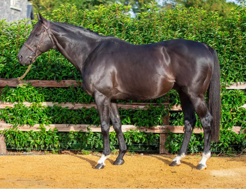 Capital Stud tweet media