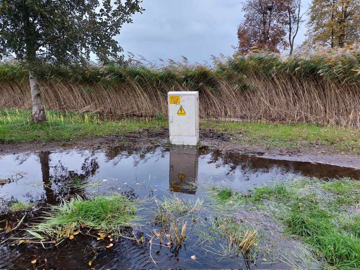 Maarten Molenaar tweet media