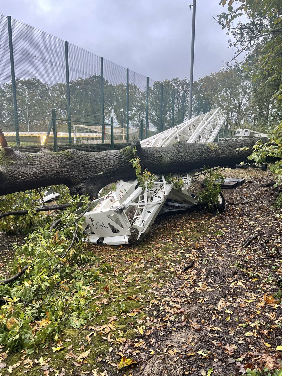 Graeme Mills tweet media