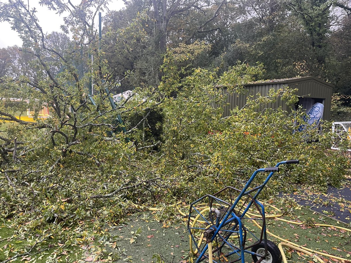 Graeme Mills tweet media