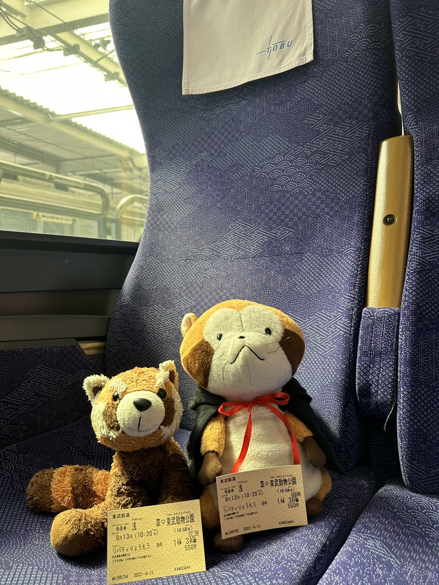 SamWong_9385's tweet photo. 小浣熊🦝 拉斯卡爾
あらいぐまラスカル Rascal https://t.co/gM8qSkB0ZG