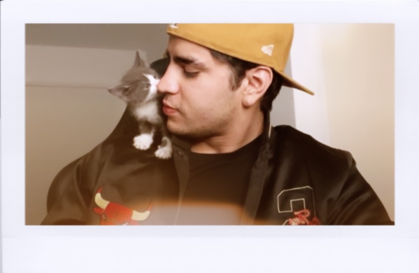 paolapezlo's tweet photo. Aquí dos gatitos bebés 🧸 https://t.co/FfllI3kLFf