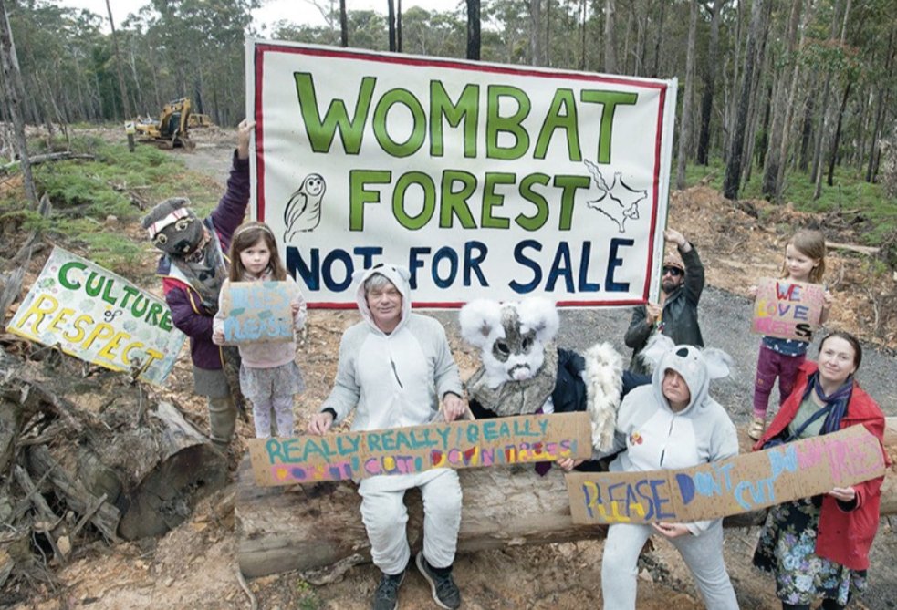 alliance_forest's tweet photo. Wombat Forestcare are halfway to their $50,000 fundraising target for their Supreme Court case against VicForests. 🌿🌿

👉 DONATE: https://t.co/7YntwhSiMx https://t.co/yZ7lEj6wG9