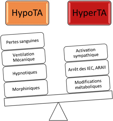 ANREA_Journal tweet media