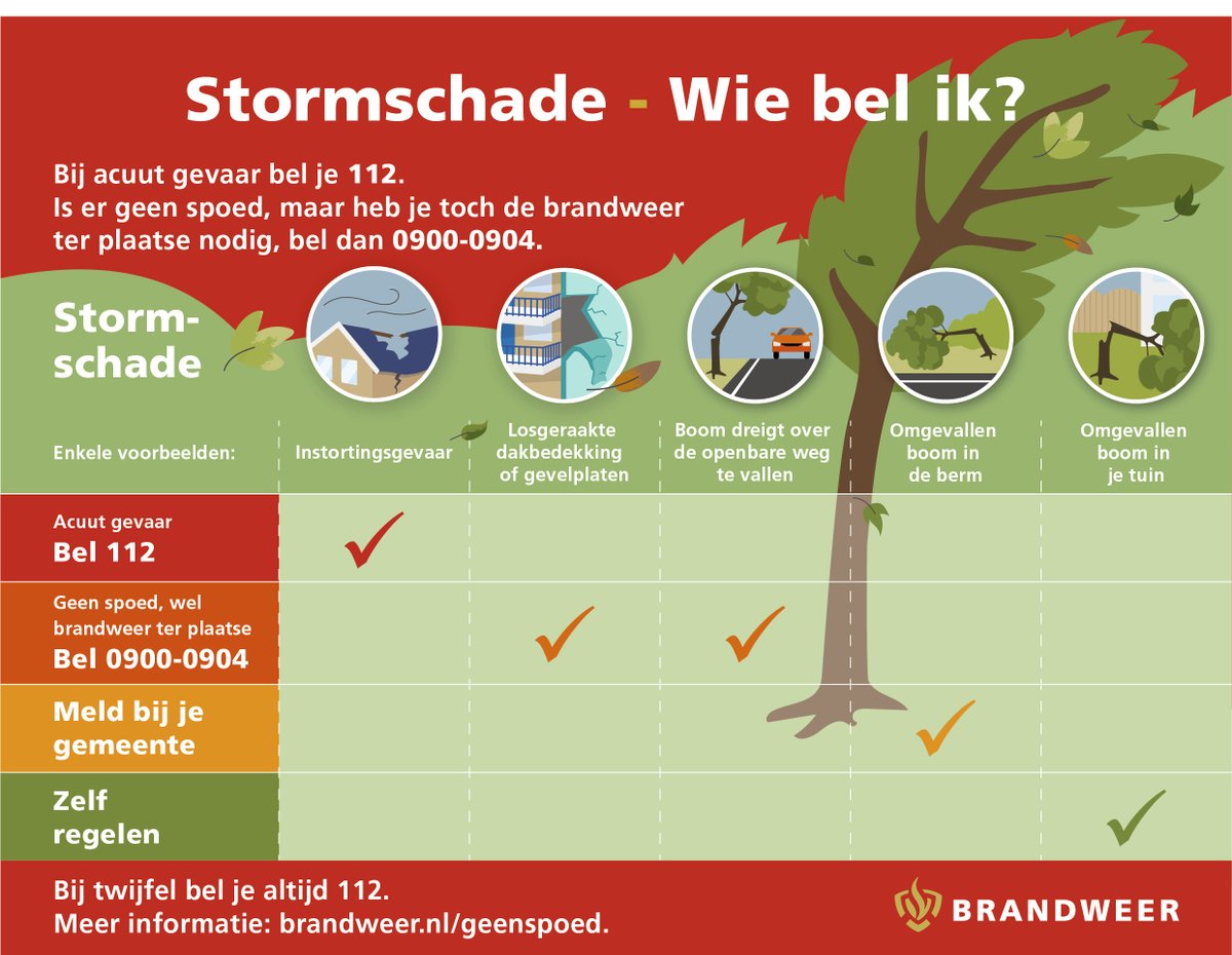 ⚠️ In onze regio kunnen tijdens Storm #Ciarán de windstoten vandaag tot in de avond oplopen tot 90 km/uur. Veel bomen zitten nog ruim in het blad. Daardoor is de kans op schade wat groter. Bekijk hieronder wat je kunt doen als je onverhoopt met stormschade komt te zitten vandaag.