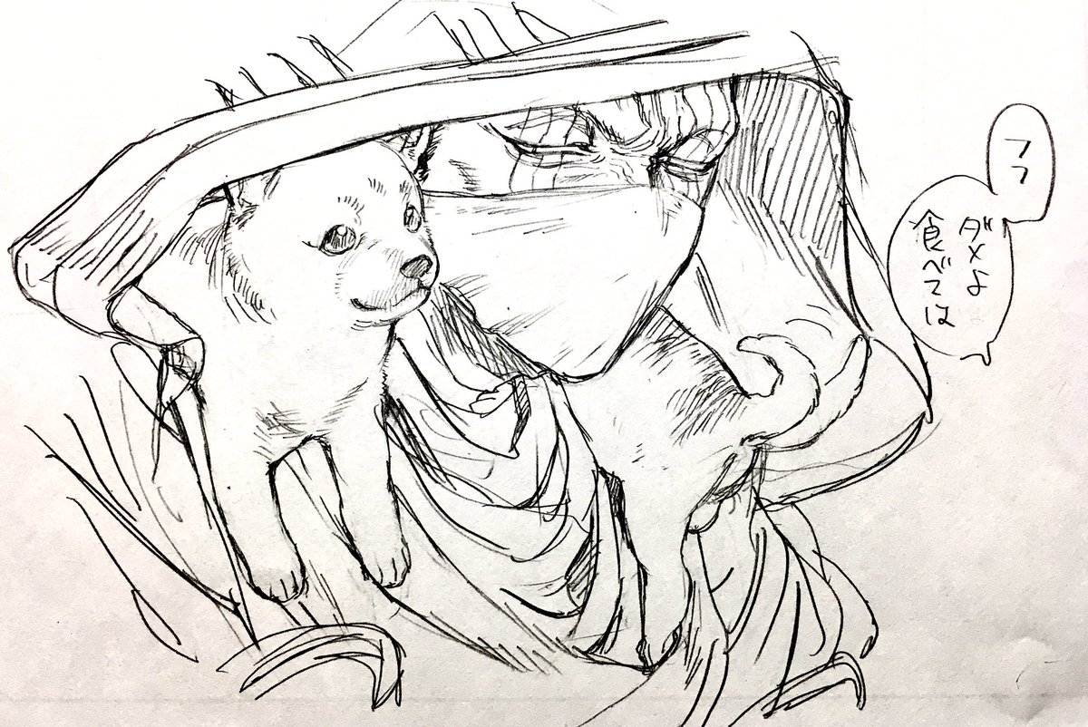 犬猫どころか崖もおらん