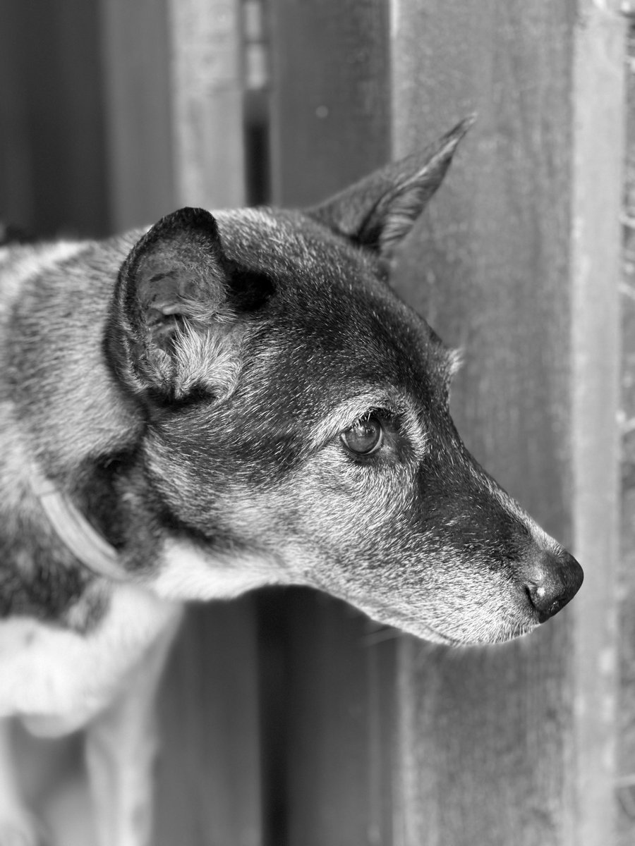 thomas wanhoff tweet media