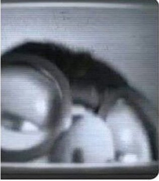 itsD3lay🐧 tweet media