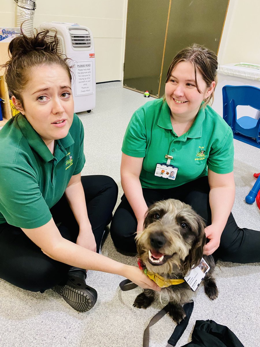 Smiles, strokes and cuddles with the St George’s play team on our Jungle ward and playroom visit. #petsastherapy #humananimalbond #dogsinhospitals