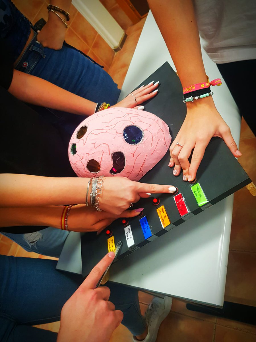 🔝🧠Nuestros estudiantes de 2º Ed. Primaria (B) trabajando el funcionamiento del lenguaje y la comunicación (habla, lectura y escritura) a través del cerebro en la asignatura DESARROLLO DE LA COMUNICACIÓN Y HABILIDADES LINGÜÍSTICAS con la profesora Mar Rodríguez <a href="/marrosell/">marrosell</a>