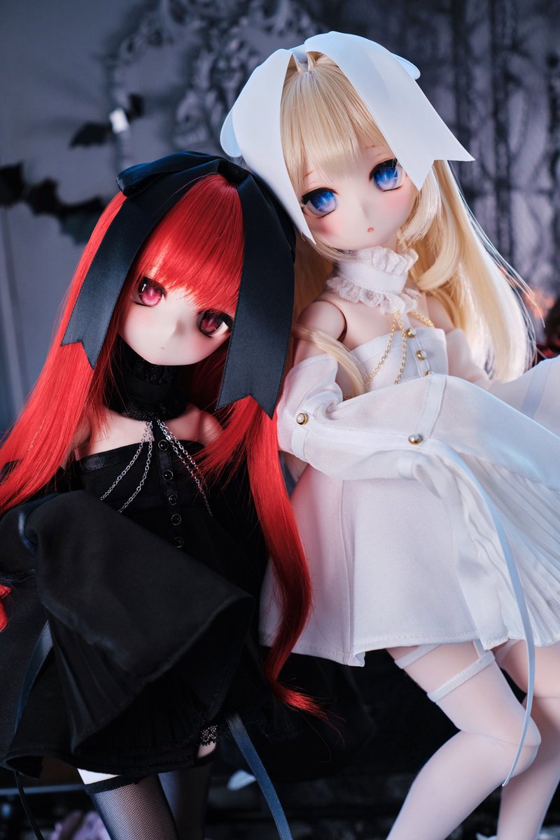 幽霊が出没する👻

#MDDはいいぞ 
#うちの子かわいい