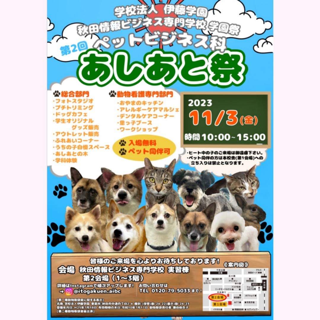 labo_saku's tweet photo. サクラボ🌸オンライン
今週は秋田情報ビジネス専門学校ペットビジネス科の3人を迎えて、明日行われる学園祭のお話！ペットビジネス科の
「あしあと祭」は実習棟の第二会場となっていますので
お間違いなく～☆

18時30分〜お聞き逃しなく
@fm_akita
@itogakuen_aibc
#動物看護士 
#トリマー https://t.co/BYSrOUeggK
