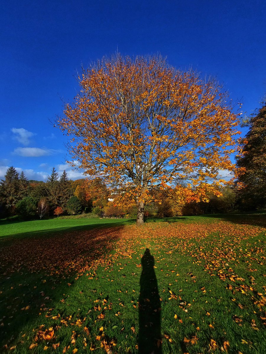 AakankshaShett3's tweet photo. Last of All🍂 https://t.co/HvodvHIq6k