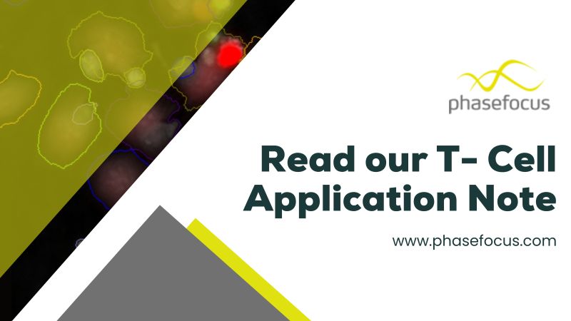Missed our recent T-Cell webinar?

Our new T-Cell Killing Assay can help you gain a deeper understanding of T-cell interactions and their killing efficacy.

📄 Read more: phasefocus.com/resources/app-…

#Livecyte #TCells #Oncology