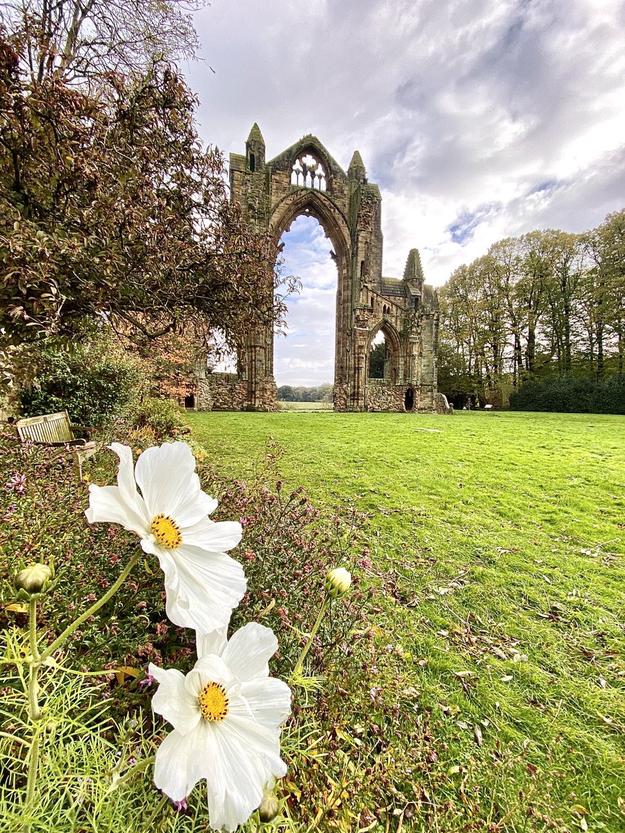 NickyJohnsonNY's tweet photo. Wishing you a happy Thursday and me a happy birthday 🎈from North Yorkshire 😊 https://t.co/Jl8PXm35rW