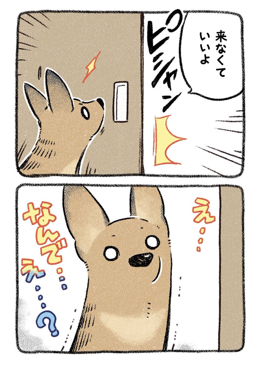 保護犬茶々のお話【第11話】 とら〜🐯うま〜🐴すいっち♬ #漫画が読めるハッシュタグ
