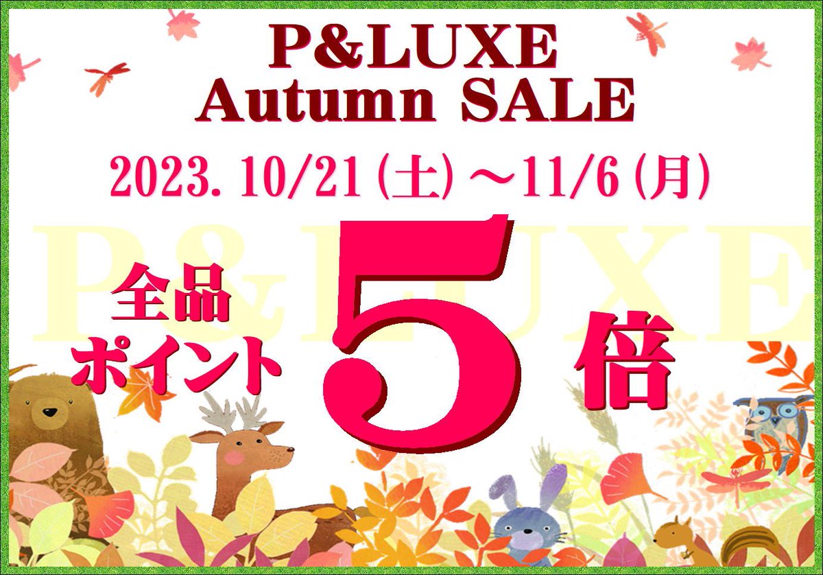 PLUXE6's tweet photo. 綺麗なミヤコヒキガエル'sがやって来てます🐸✨

6日(月)までアクア、爬虫類、観葉植物生体20%OFFです🎉

#両生類 
#カエル 
#ヒキガエル 
#ミヤコヒキガエル 
#アクアリウム 
#爬虫類 
#観葉植物 
#セール https://t.co/ykQBO7Rzs6