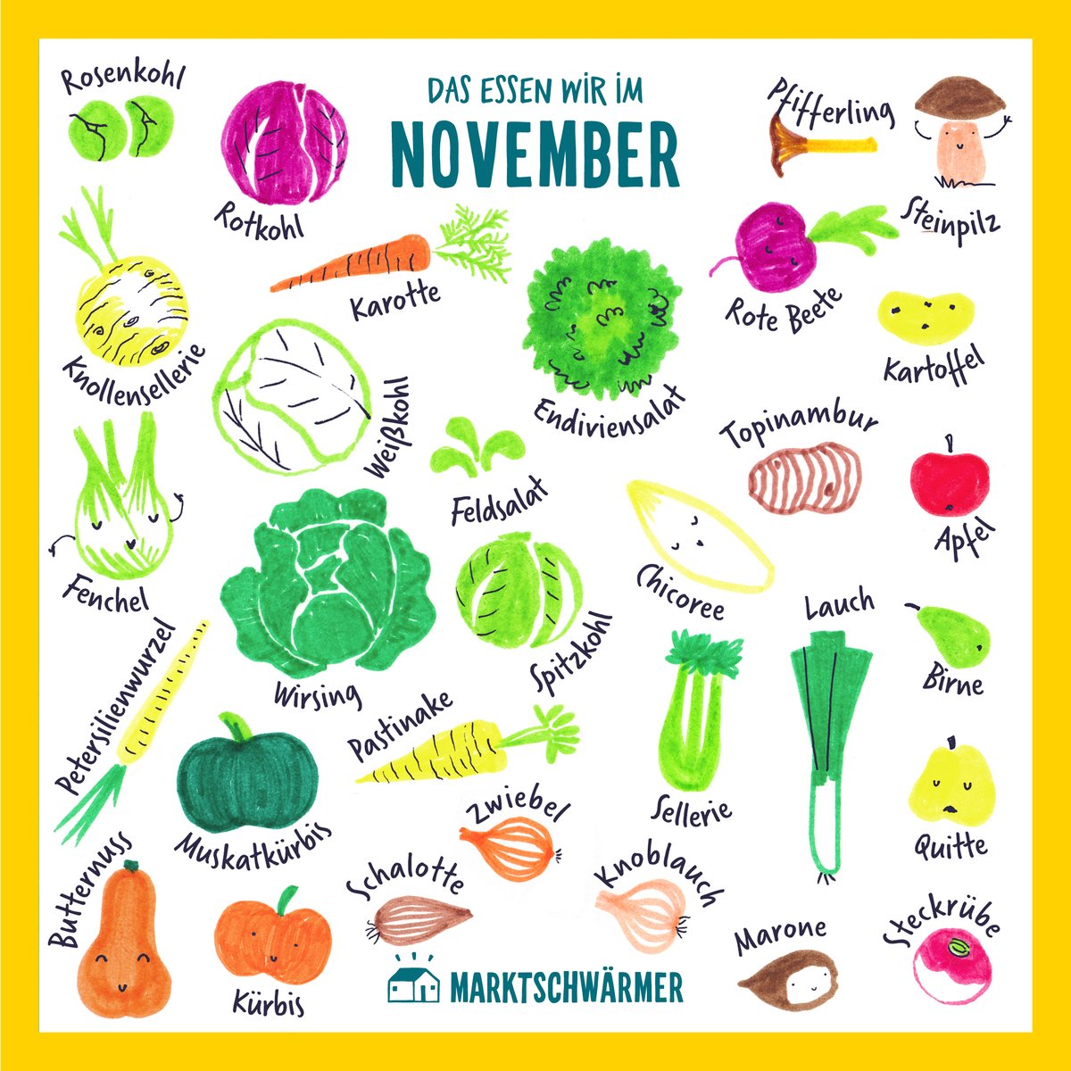 Auch wenn die Haupterntezeit vorbei ist, bereichert uns der November mit einem vielfältigen Angebot regionalen Gemüses. 🥕🍎Unser Favorit im November? Kohl! Und zwar in allen Formen, Farben und Variationen.🥬Aber auch Kürbis- und Pilzfans kommen im diesen Monat auf ihre Kosten.