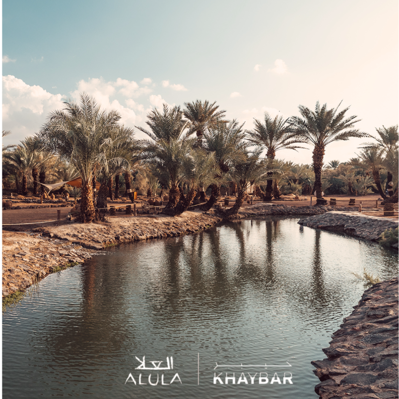 ExperienceAlUla's tweet photo. انطلق في مغامرة إلى أرض تتوسطها واحة خضراء مورقة، في جولة #خيبر التراثية، لتتعرّف على أسرار الحضارات القديمة في هذه المنطقة، وطبيعتها التي تشكّلت من الصخور البركانية، منذ آلاف السنين، من 3 نوفمبر 2023 إلى 9 مارس 2024 🌴🌋

#اكتشف_العلا