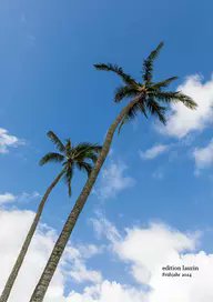 We proudly present: die wunderschönen, persönlichen und nervenaufreibend spannenden Bücher aus dem Frühjahrsprogramm: uibk.ac.at/editionlaurin/…