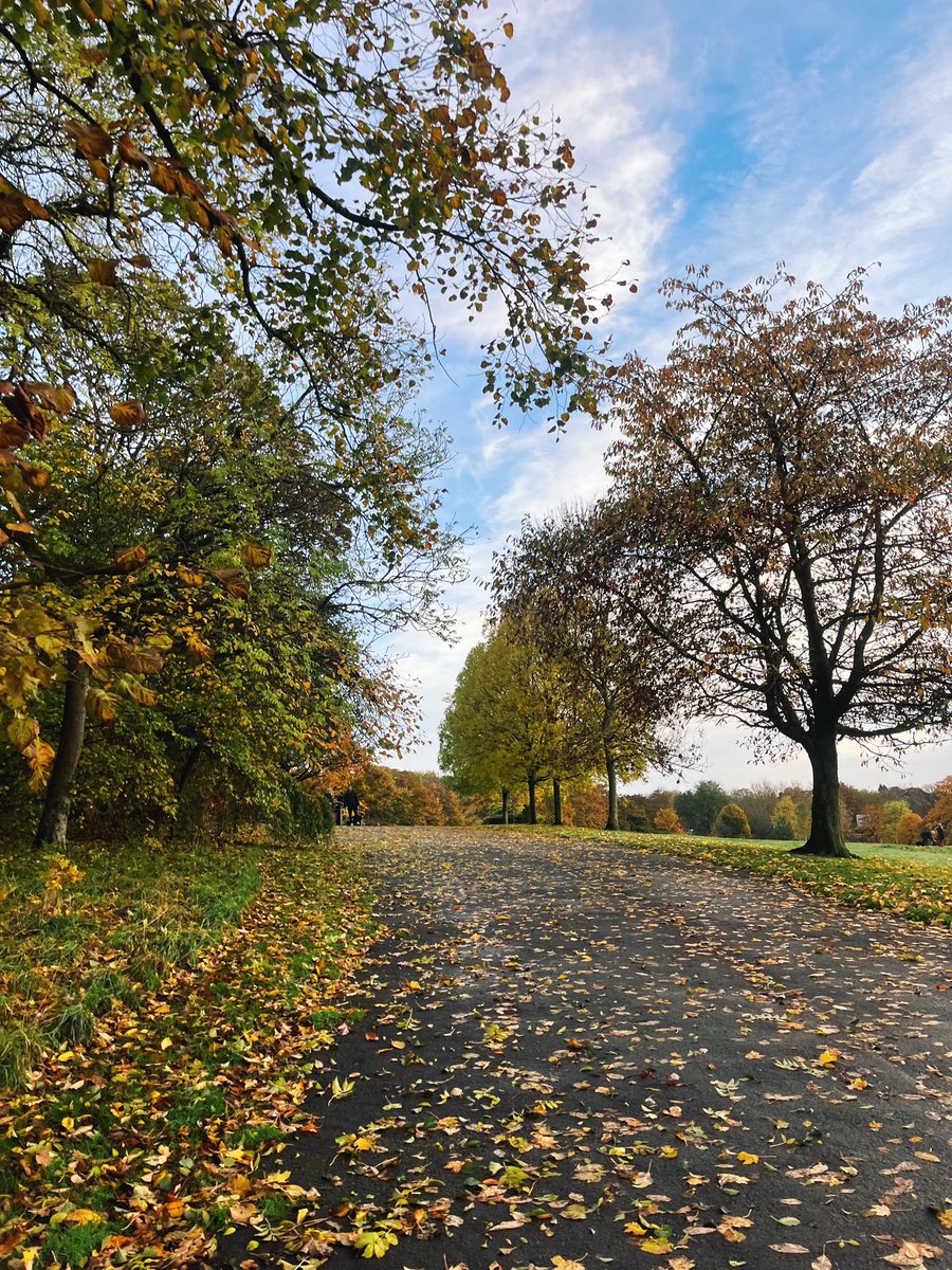 Lois Mackenzie tweet media