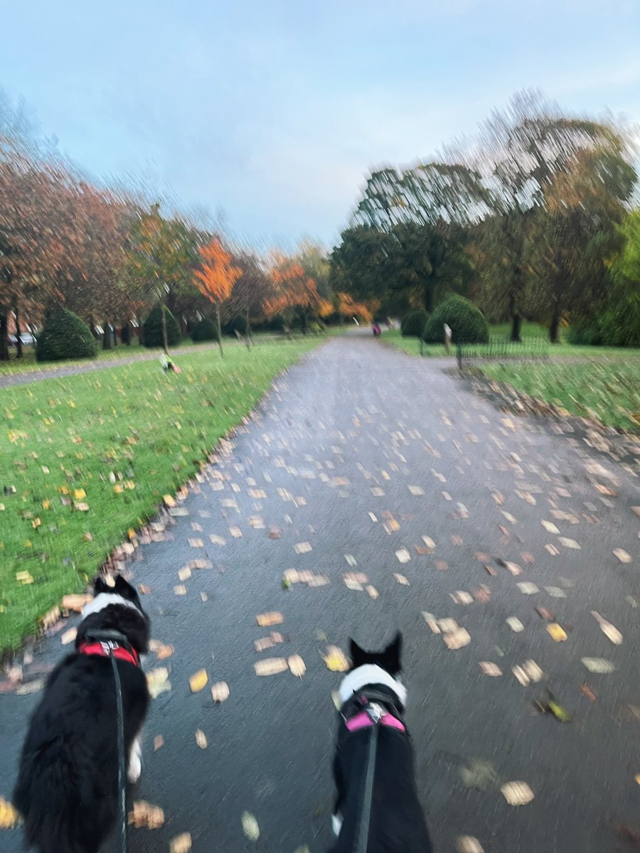 Lois Mackenzie tweet media