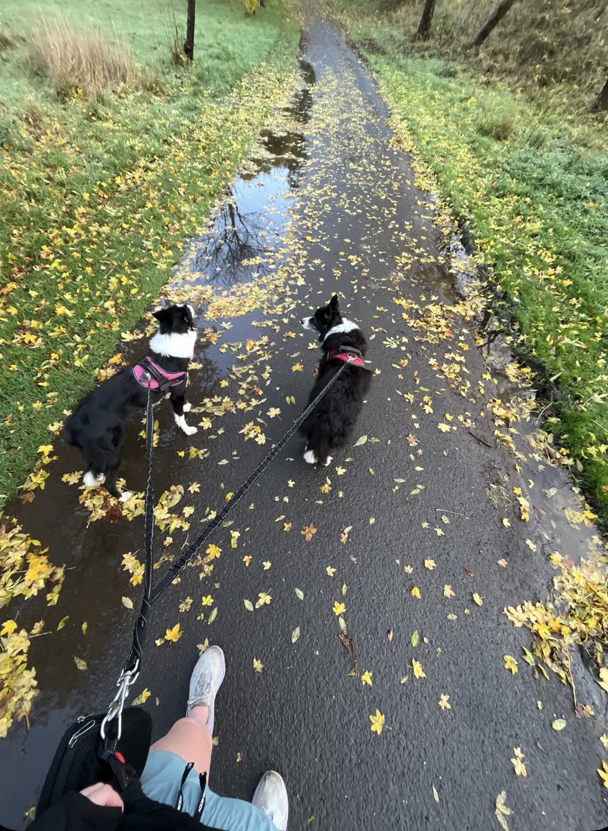 Lois Mackenzie tweet media