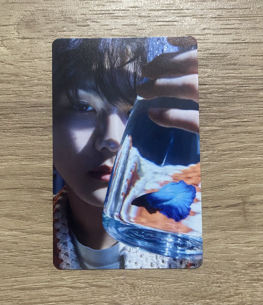 Eli_cartz's tweet photo. 🌷. . Wts lfb ph
        • — {#EliC_sells}

Jungwon Senkou Limited B photocard

⤷ 500 php
⤷ onhand
⤷ payo
⤷ x sensitive
⤷ check alt for condi

# dimension senkou limited b jungwon isda https://t.co/BTTi5L9h8R