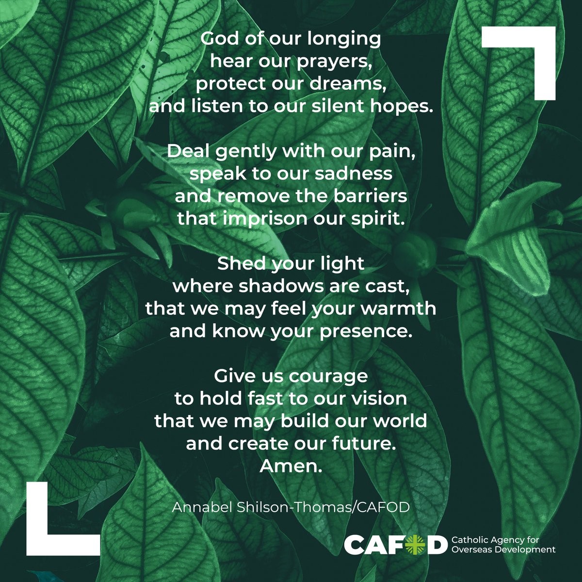 CAFOD's tweet photo. It's #AllSoulsDay when we remember all of the people no longer with us. 

We hope this prayer can bring some comfort. 🙏 https://t.co/bmxMpA6Fwq