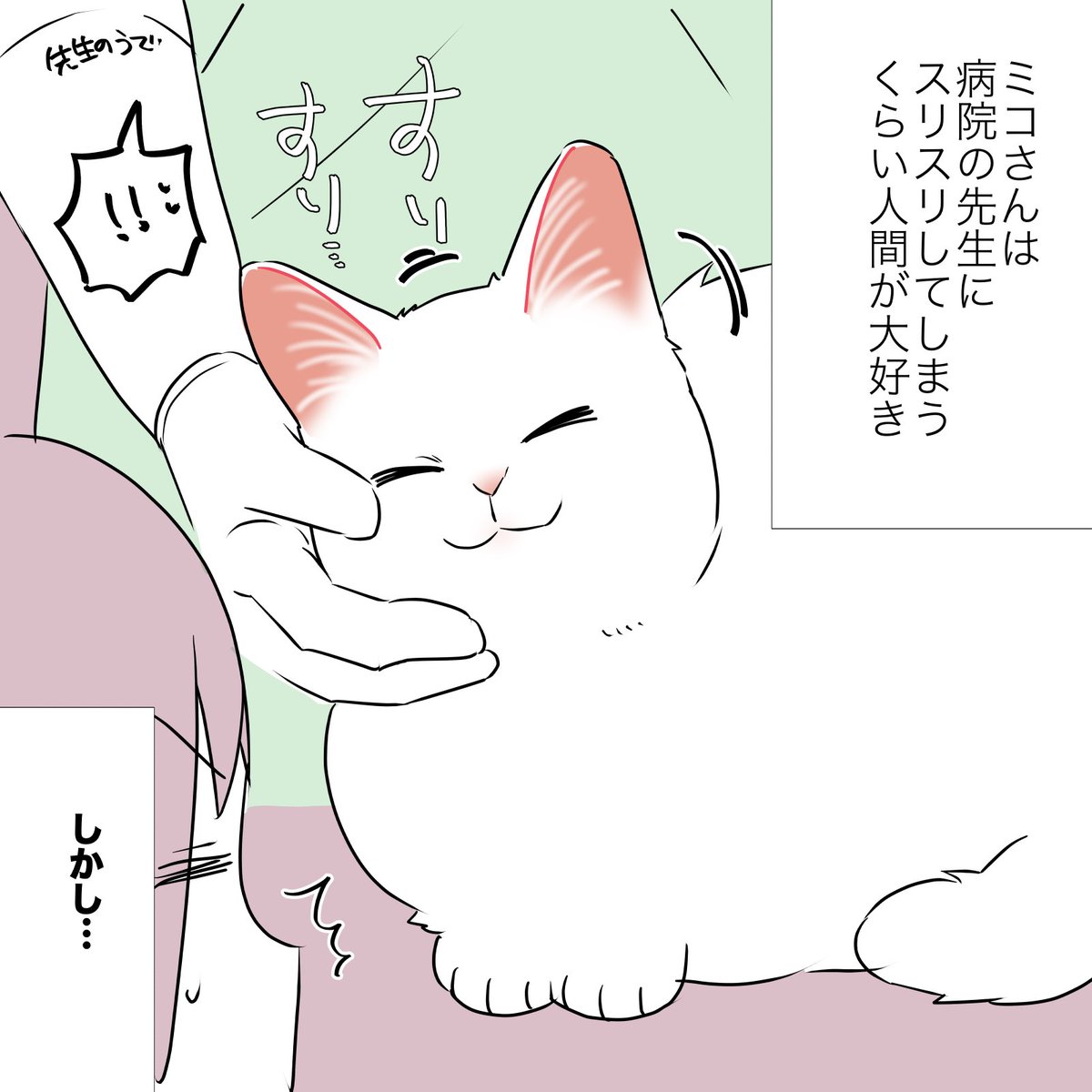 猫の心、難し〜〜〜〜!!!!!って話(1/2)  #漫画が読めるハッシュタグ #愛されたがりの白猫ミコさん