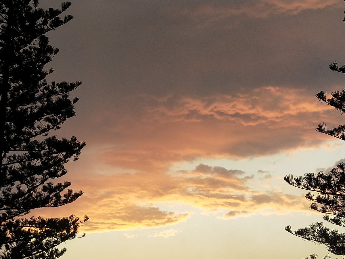 krtcano11's tweet image. Alluring Sunset! it's a heavy storm coming!🩶