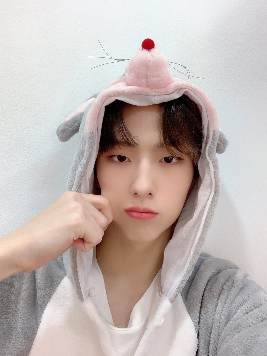 MinionKing11's tweet photo. Булочка 🥺💗 https://t.co/wnr7zqZLFj