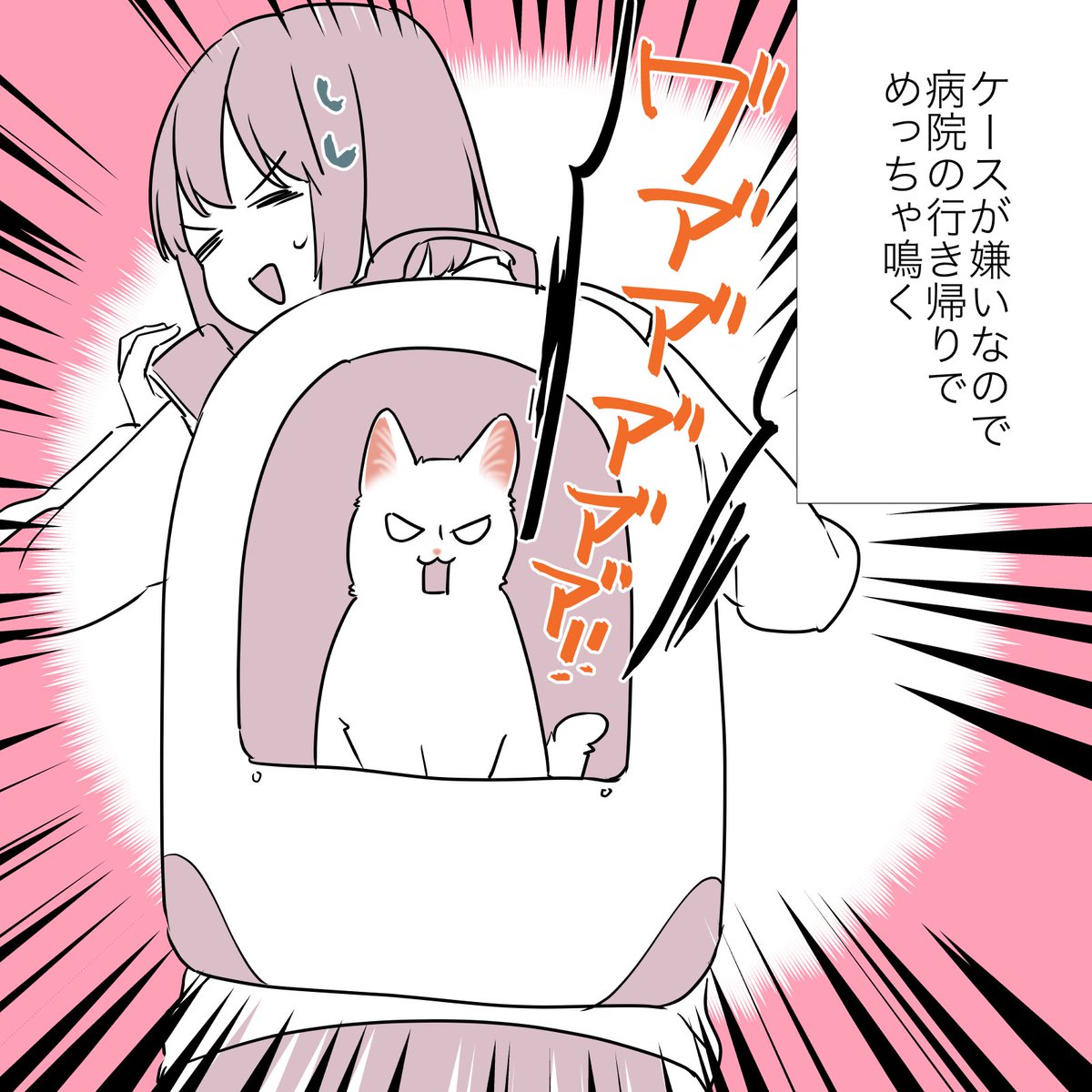 猫の心、難し〜〜〜〜!!!!!って話(2/2) #漫画が読めるハッシュタグ #愛されたがりの白猫ミコさん