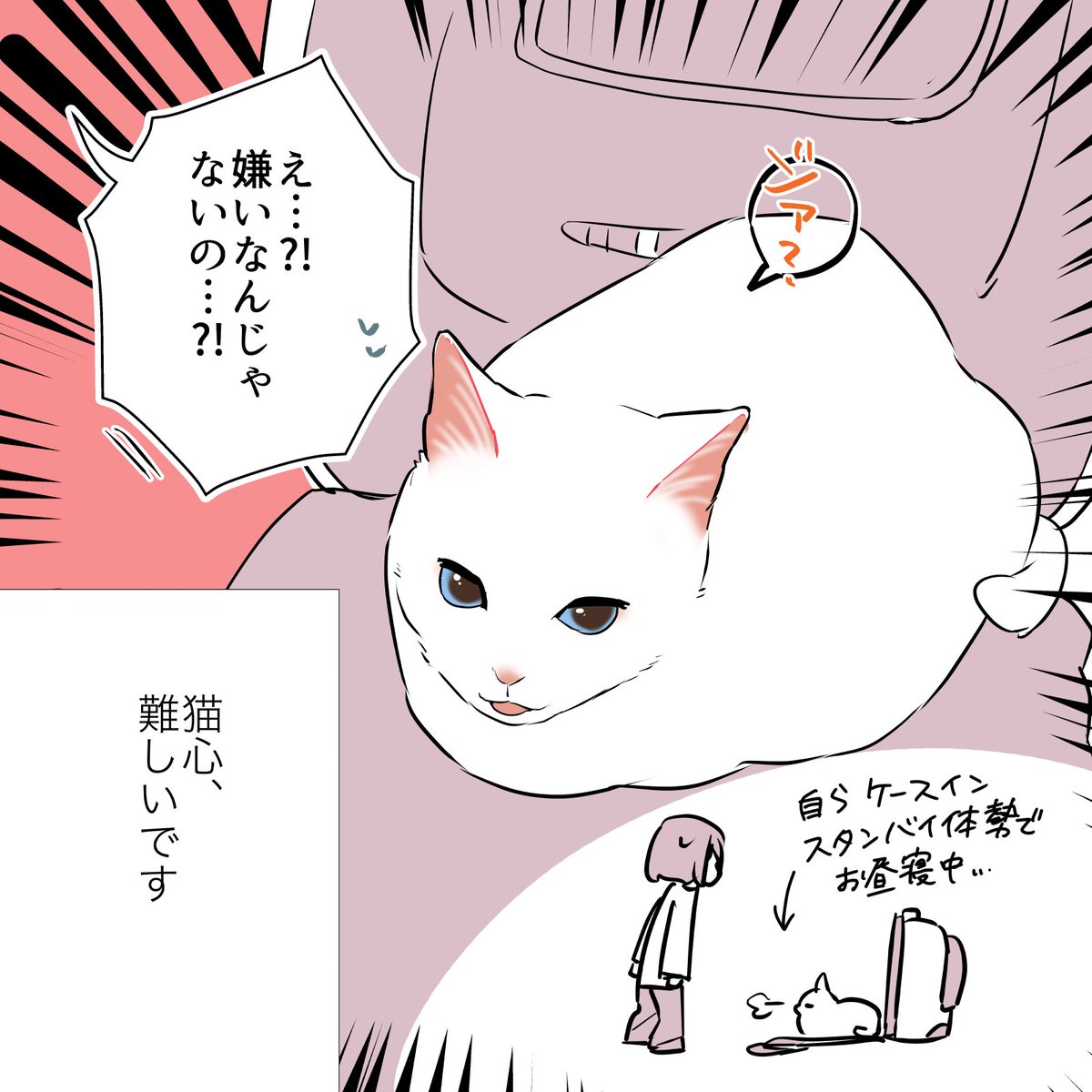 猫の心、難し〜〜〜〜!!!!!って話(2/2) #漫画が読めるハッシュタグ #愛されたがりの白猫ミコさん