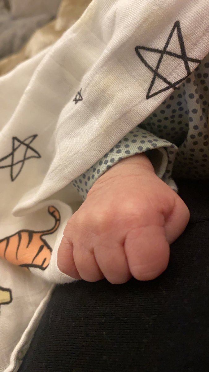 ShougAlSehali's tweet photo. Monday, 30/10/2023
1:20 am 
My first baby was born 🤍 https://t.co/0mmev3zCeC