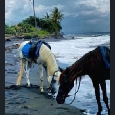 zong moua tweet media