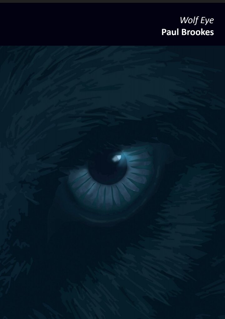 PaulDragonwolf1's tweet photo. #WolfEye I am recording a full solo video performance of my forthcoming very limited edition new collection from Red Ceilings Press. Arriving soon. Described by one fellow writer as "Wonderous and startling." https://t.co/BL8TbgYNyJ