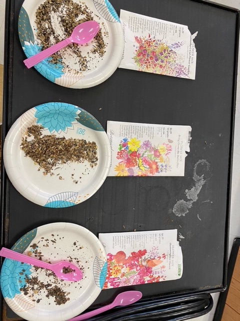 PorterSpartans's tweet photo. Mrs. Cramer-Kelly's classes enjoyed the cool weather outside while building sealed ecosystems to demonstrate water and carbon cycles in action! #PHS_Spartans #SpartanExcellence #ncisdScience https://t.co/DTQnFti4ME