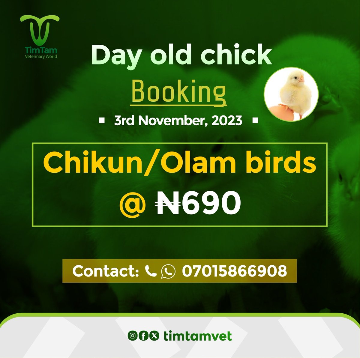 🟩☑️Price for hatch day 3/11/2023.

To place order call/WhatsApp 07015866908

#hatchday #timtamveterinary
#Farm #agriculture #dayoldchicks
#poultry #chicks EFCC #OAUTwitter Messi