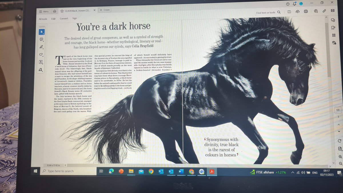 Every writer's dream - a stunning layout by Country Life for my feature linked to #WritingBlackBeauty @bridlitfestival @historypress #pegasusbooks @pew_literary @redwingsuk