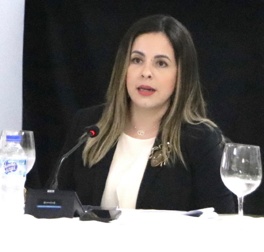 BYermenos's tweet photo. El día de ayer fui parte de los panelistas del webinar “Como hacer negocios con Guyana” muchas gracias a don Fernando González @fgn18 por la invitación, desde el @mirex brindamos apoyo para que los productos y servicios Dominicanos ingresen a mercados del Caribe #RDexporta https://t.co/9jrs4Ars1H